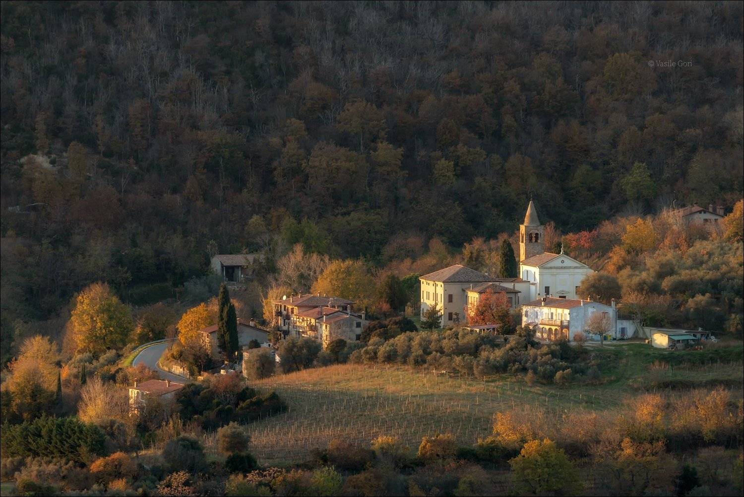 italy, faedo,italia,вечер,италия,veneto,кипарис,осень,венето,cipressi,belvedere,деревня,фаэдо, Василий Гори