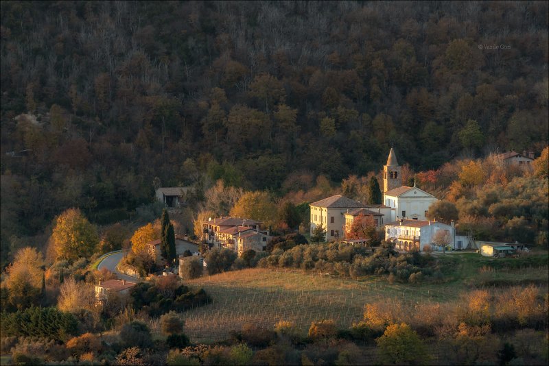 italy, faedo,italia,вечер,италия,veneto,кипарис,осень,венето,cipressi,belvedere,деревня,фаэдо FAEDO фото превью