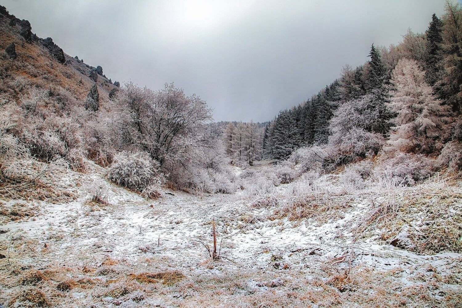 кыргызстан, горы, Элина Магалимова