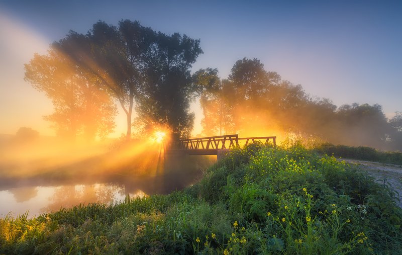 ner, river, sunrise, light, flare, morning, poland Towards The Light фото превью