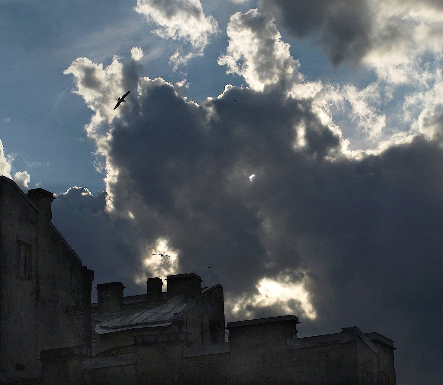 петроградская сторона, Александр Зорин