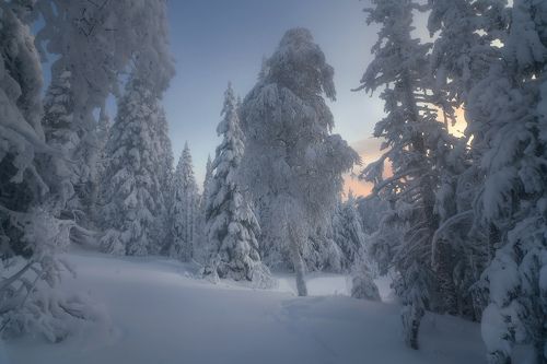 Зимним днем