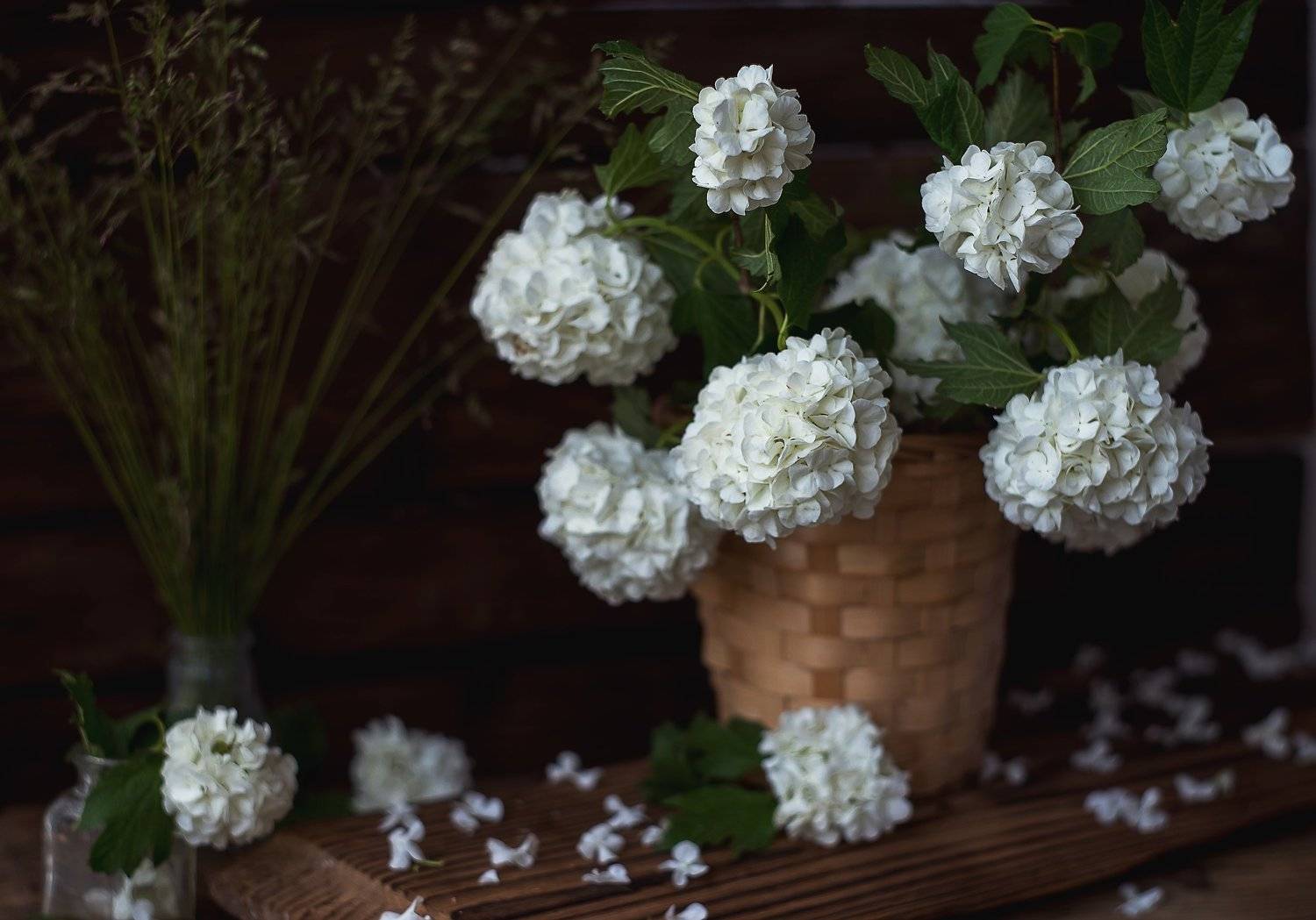 , Елена Вапняр