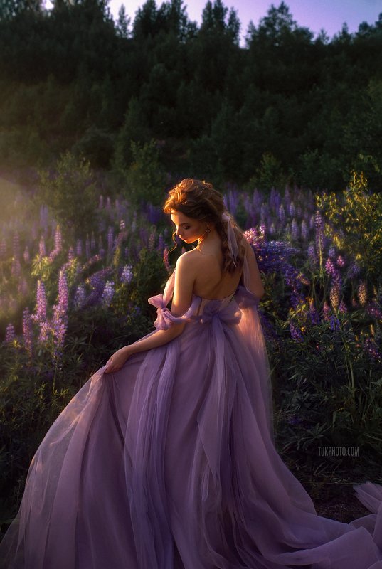 Люпин, фотосессия в люпинах, фотосессия в люпиновом поле, букет из люпинов, воздушное платье, корсетное платье, фиолетовое платье, свадебное платье, purple wedding dress, wedding, bouqet, lupinus Lupinus фото превью