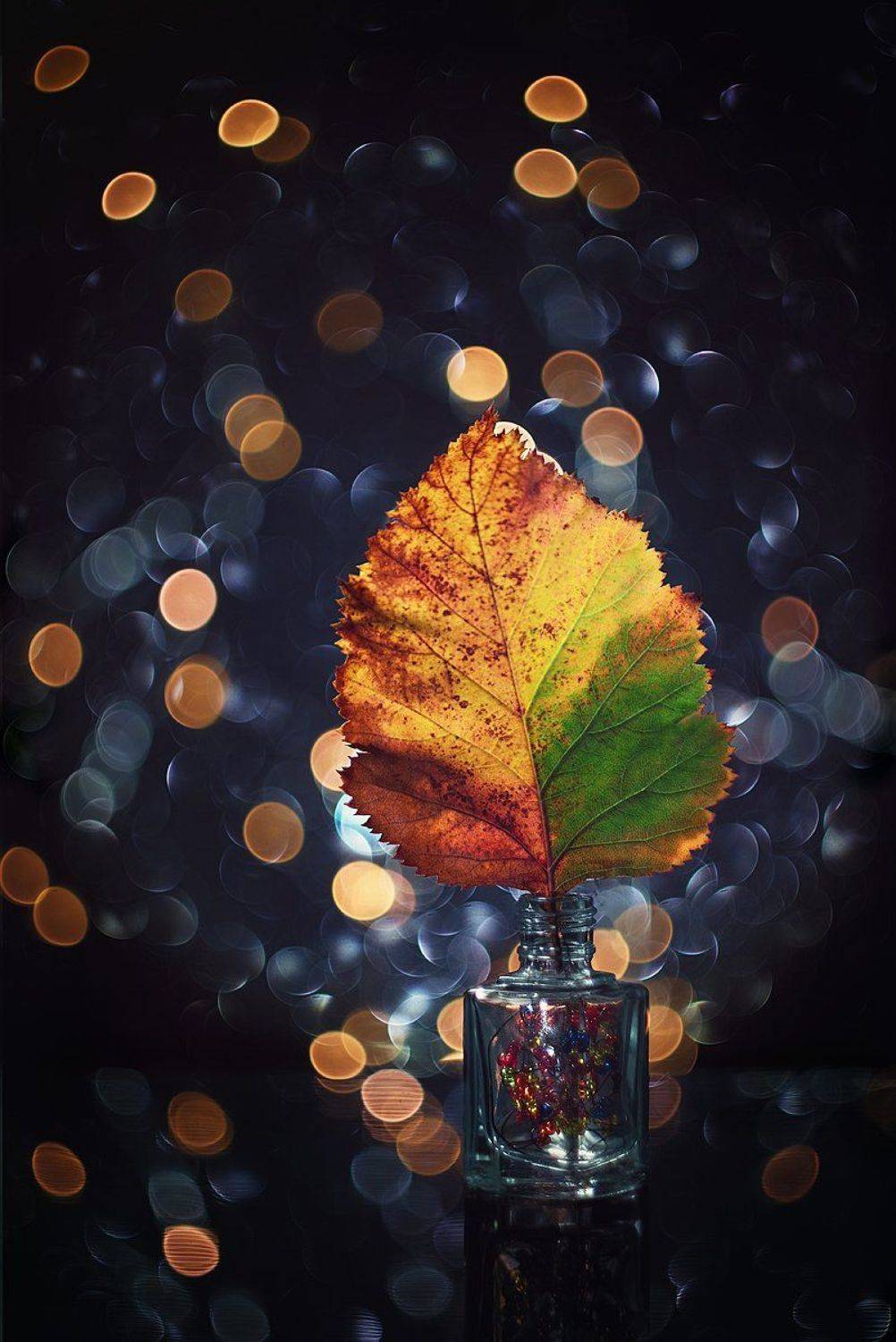 helios-44m, manual lens, мануальная оптика, beautiful, красивый, moment, момент, autumn, fall, осень, осенний, leaf, лист, hawthorn, боярышник, bokeh, боке, still life, натюрморт,, Наталья Терентьева