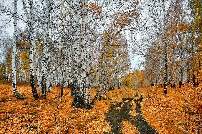 башкирия, южный урал орск новотроицк Дорога по Золоту осени. фото превью