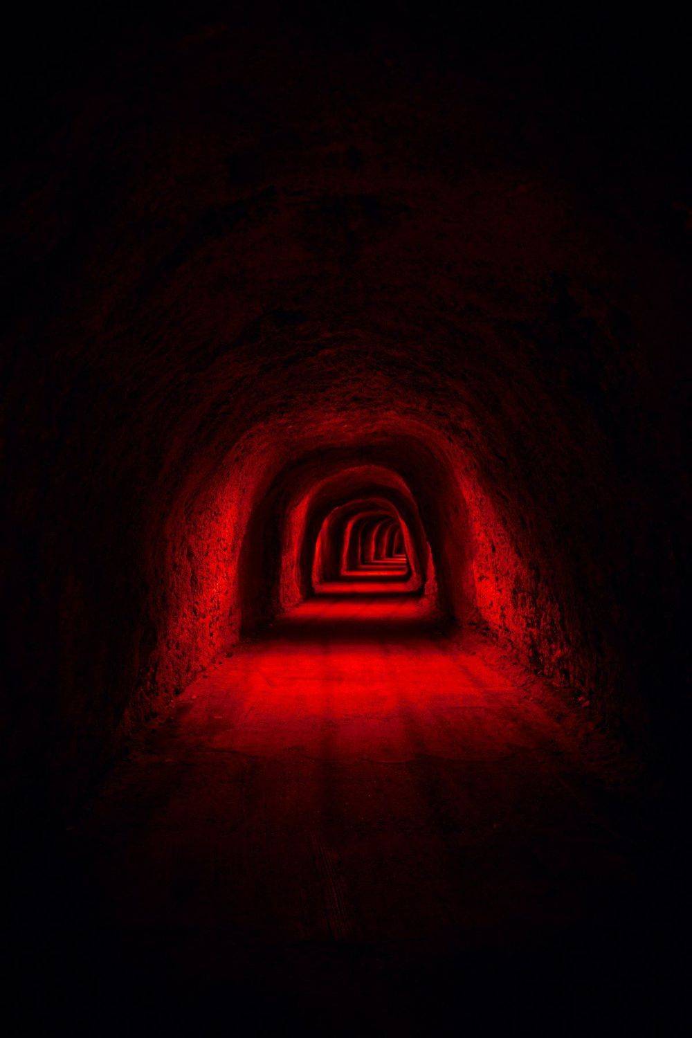 , Александр Фанковин