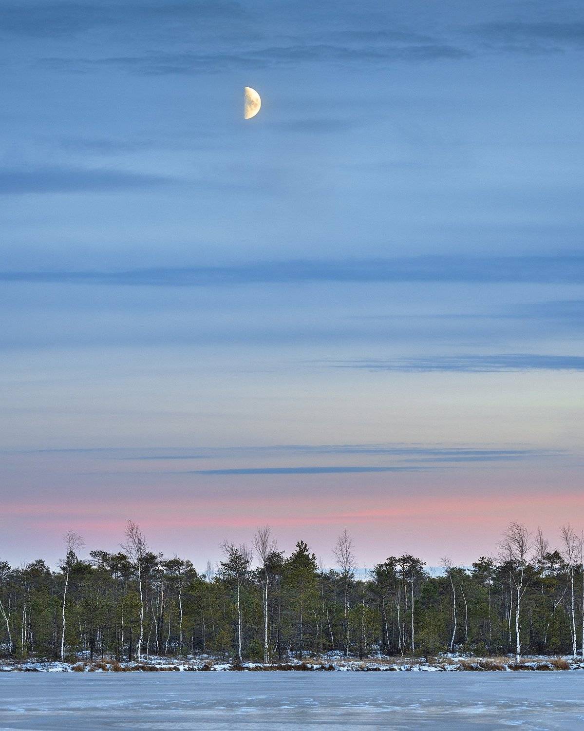 пермский край, зима, пейзаж, россия, урал, шабуничи, болото, закат, лес, озеро, снег, луна, Кирилл Кузнецов