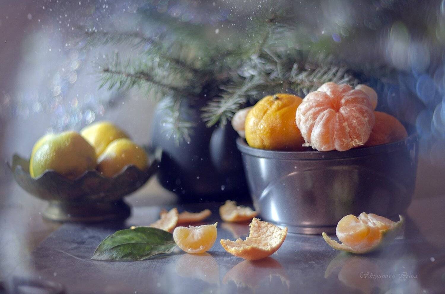 , Шипунова Ирина