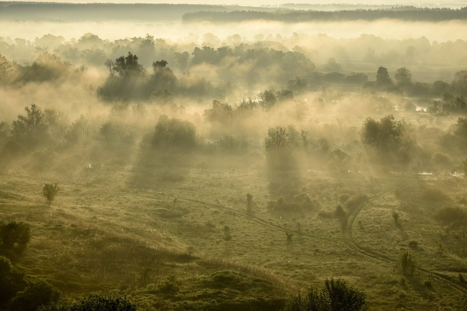 Пейзаж, рассвет, утро, Двуречанский природный парк., Антон Ерошенко