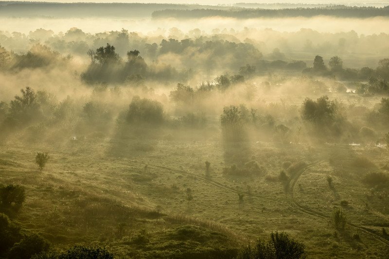 Пейзаж, рассвет, утро, Двуречанский природный парк. Туманное утро фото превью