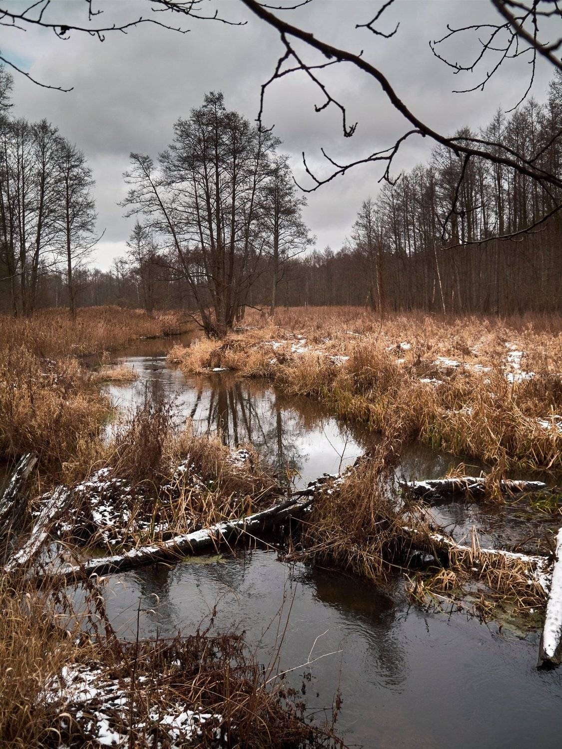 , Медведев Александр