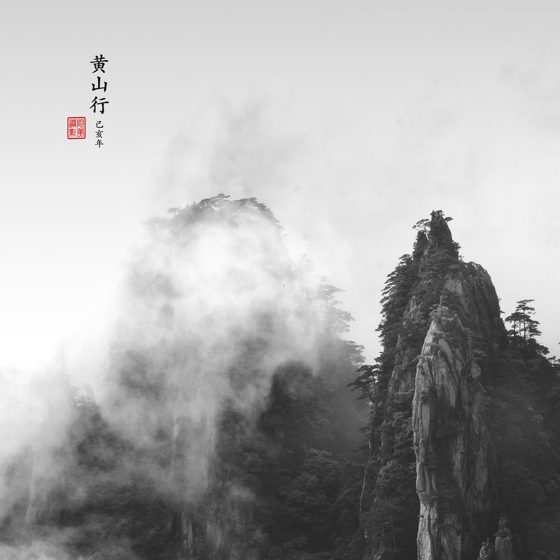 #monochrome #black&white #fine art Unforgettable фото превью