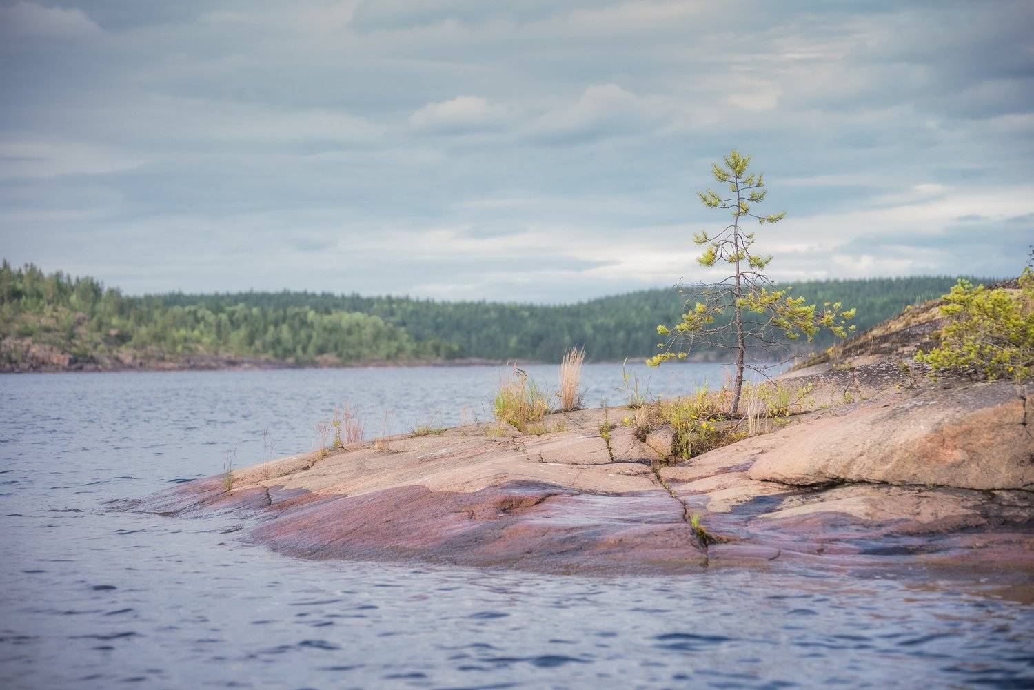 природа, пейзаж, острова, путешествия, лето, карелия, Рустам Афлятунов