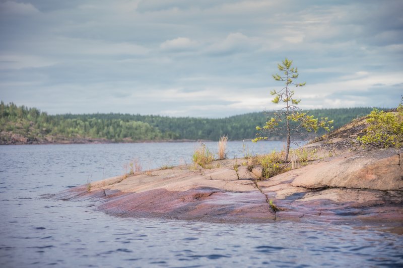 природа, пейзаж, острова, путешествия, лето, карелия Ладожские шхеры фото превью