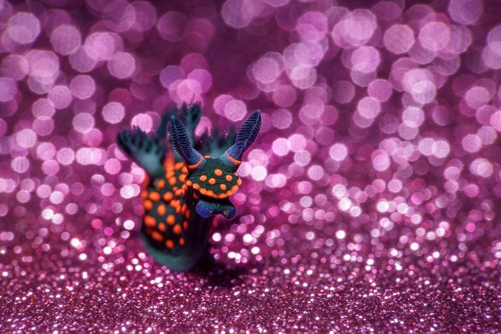 , Андрей Савин