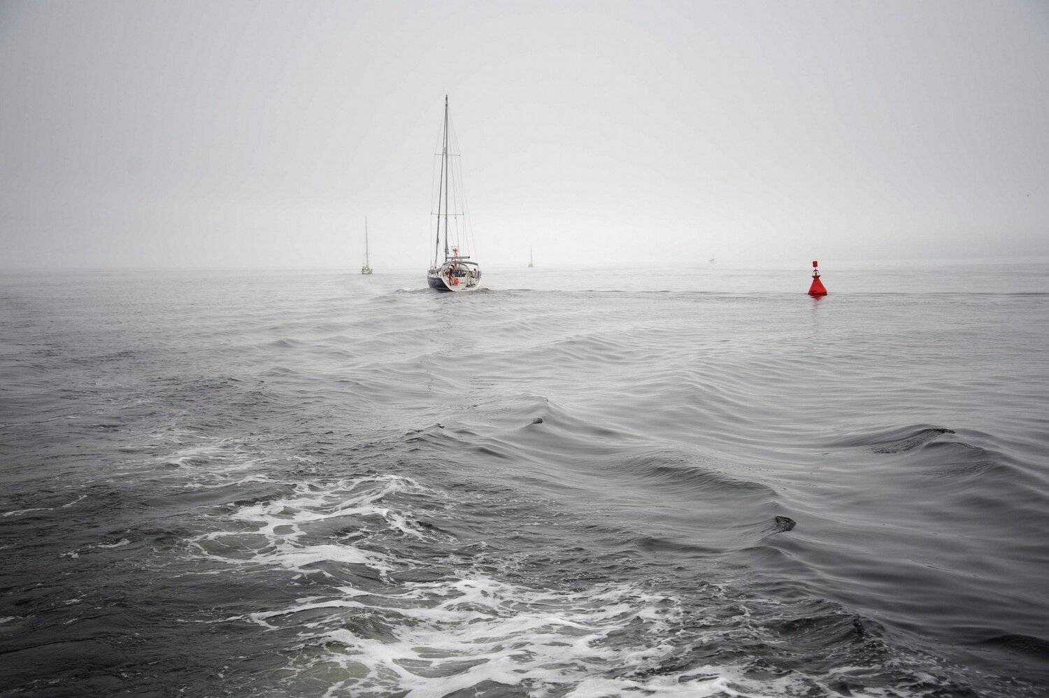 , Дарья Васильева