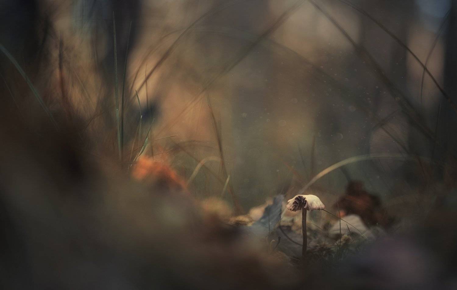 , Сергей Троицкий