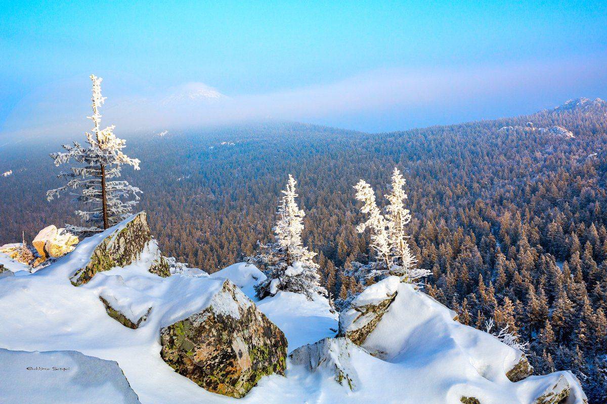 , Сергей Евдокимов
