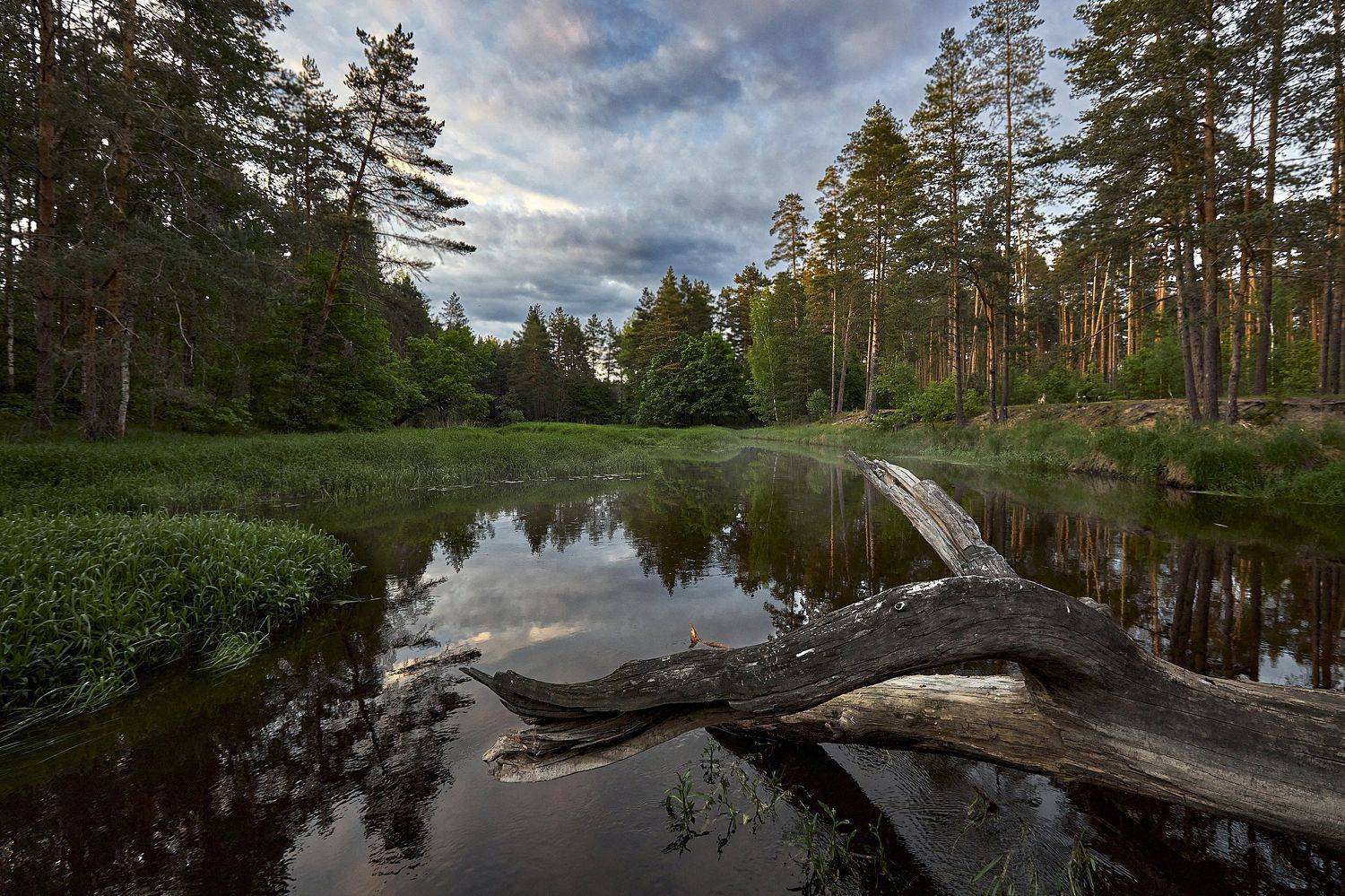 речка нерская, Евгений Гаганов