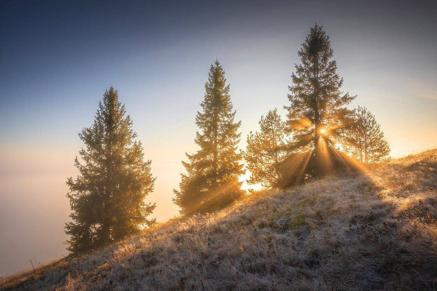 mountains, autumn, poland, slovakia, sunrise, Michał Kasperczyk
