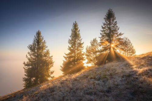 Morning in the Mountains