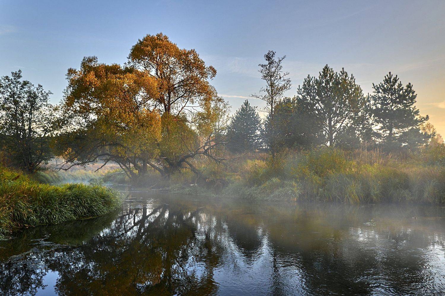 речка, гуслица, Евгений Гаганов