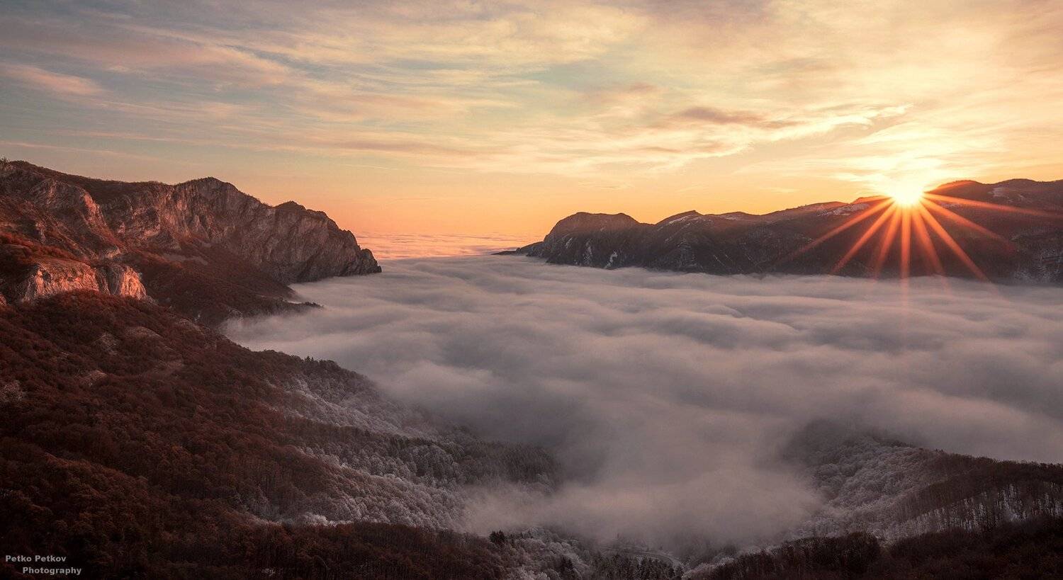 , Петко Петков
