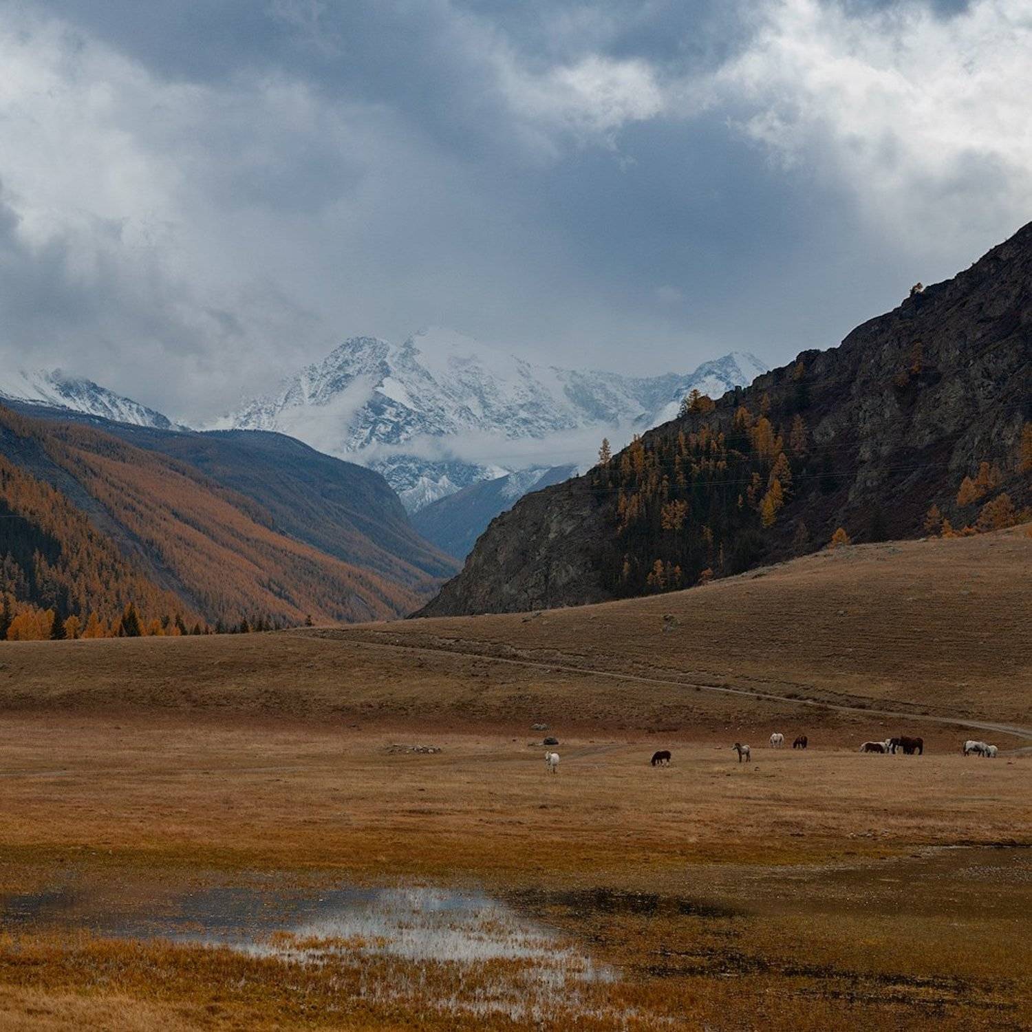 , Олег Логунов