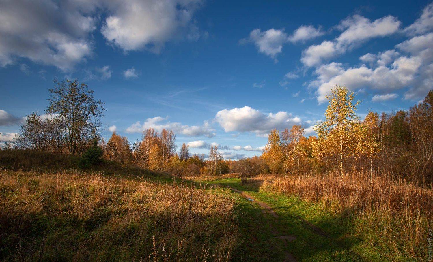 , Евгений Луцко