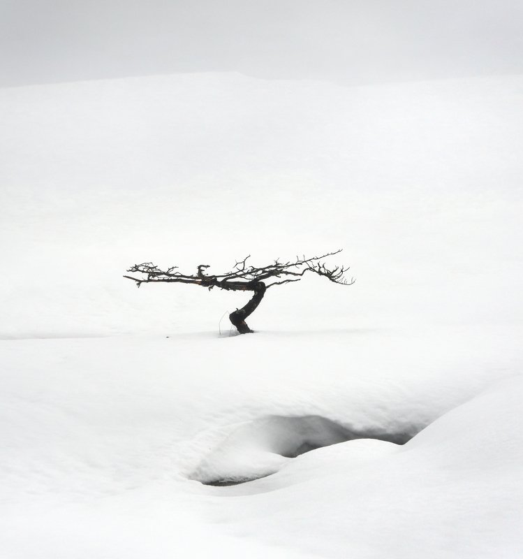 minimalism, blackandwhite, bw, landscape, alone, winter, winterlandscape, bog, swamp Terraforming фото превью