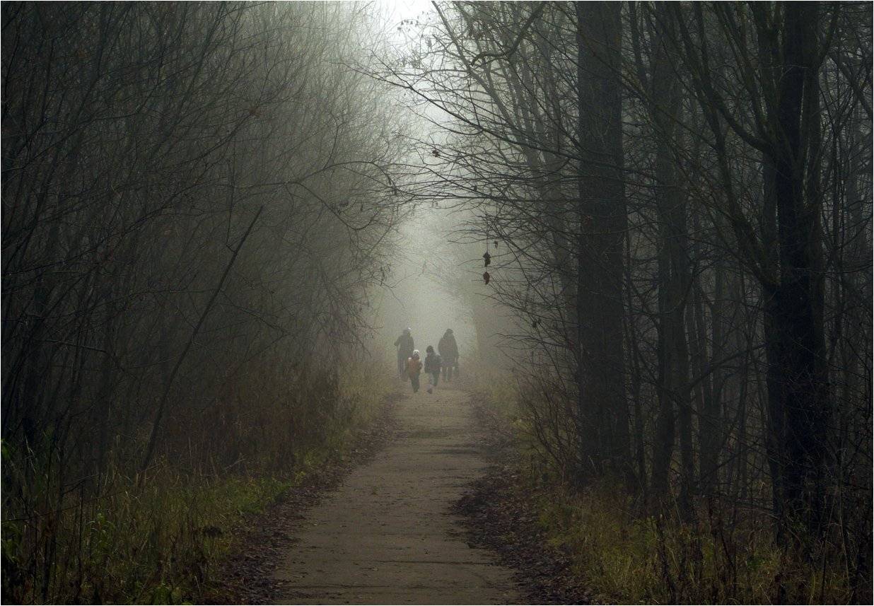 осень, туман, КарОл