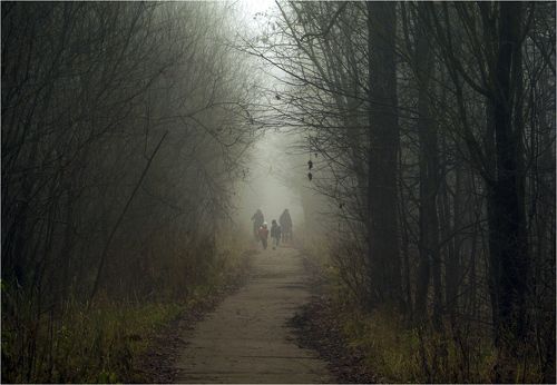 Сумрачные дни ноября