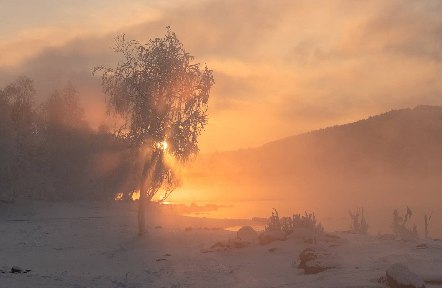 енисей, мороз, закат, береза., Марина Фомина