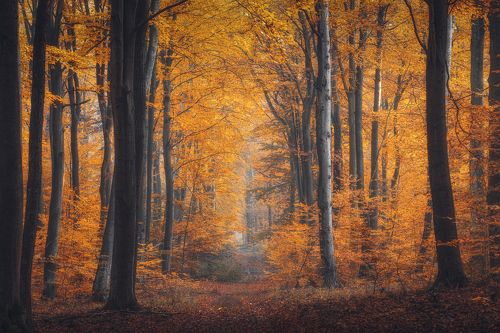 A little more autumn