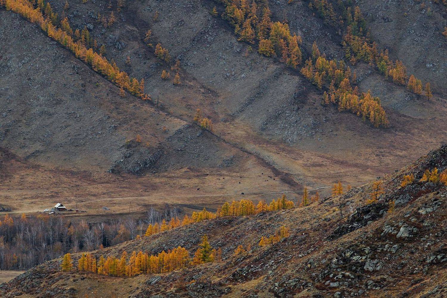 , Олег Логунов