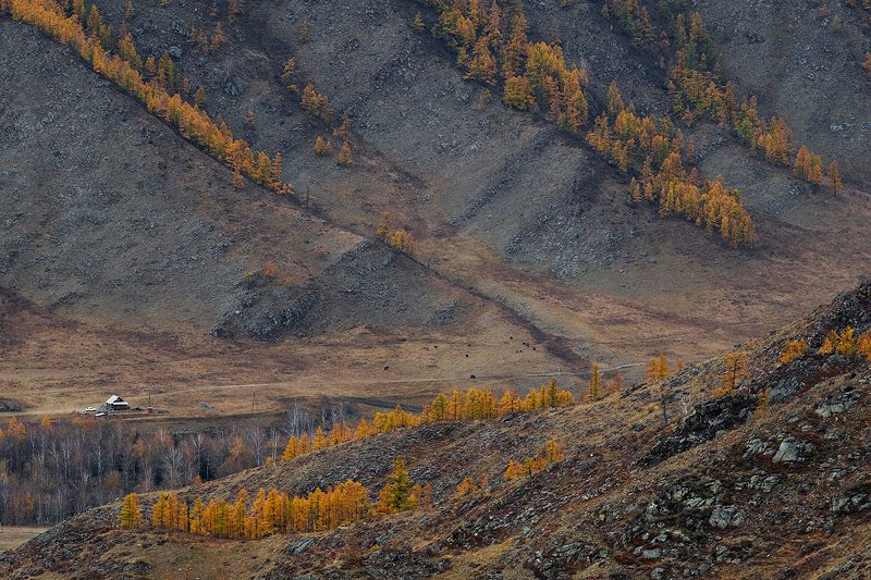 _ фото превью