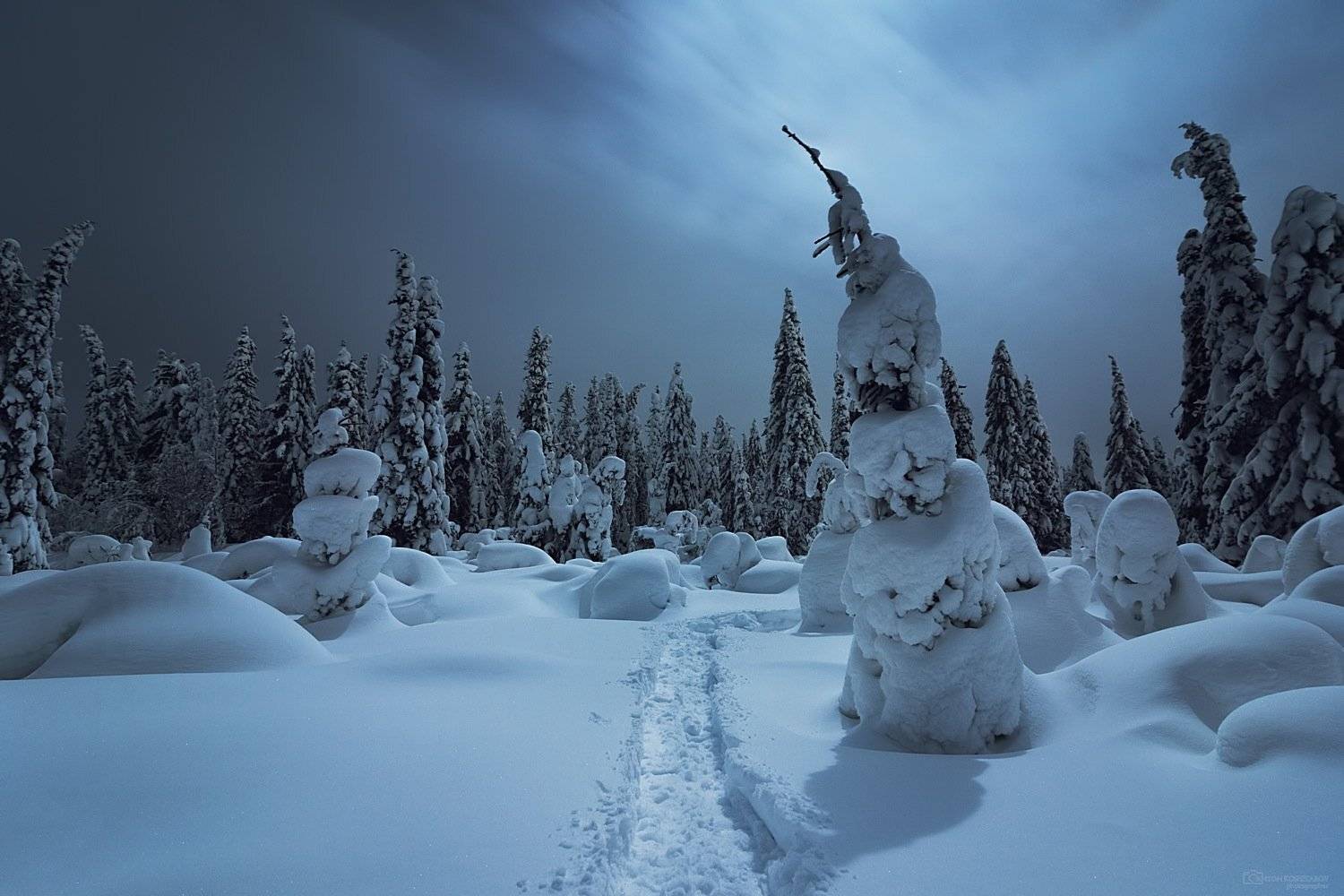 , Антон Кошетаров