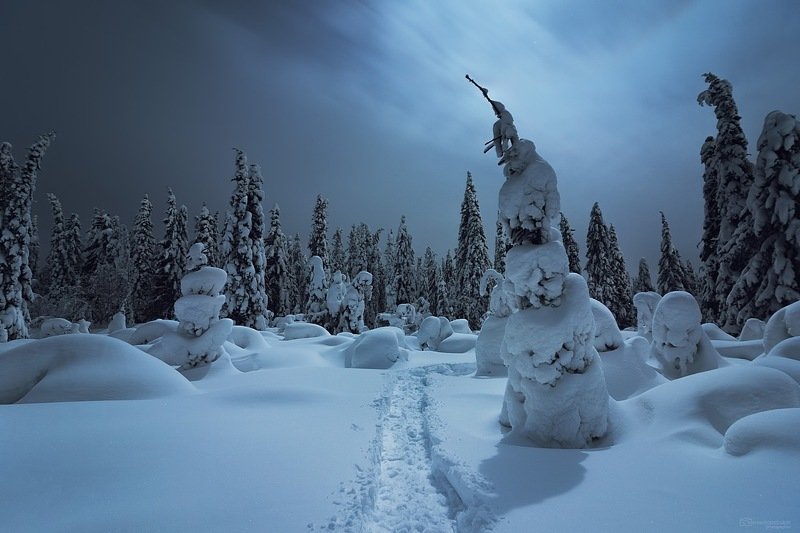 Ночная прогулка фото превью