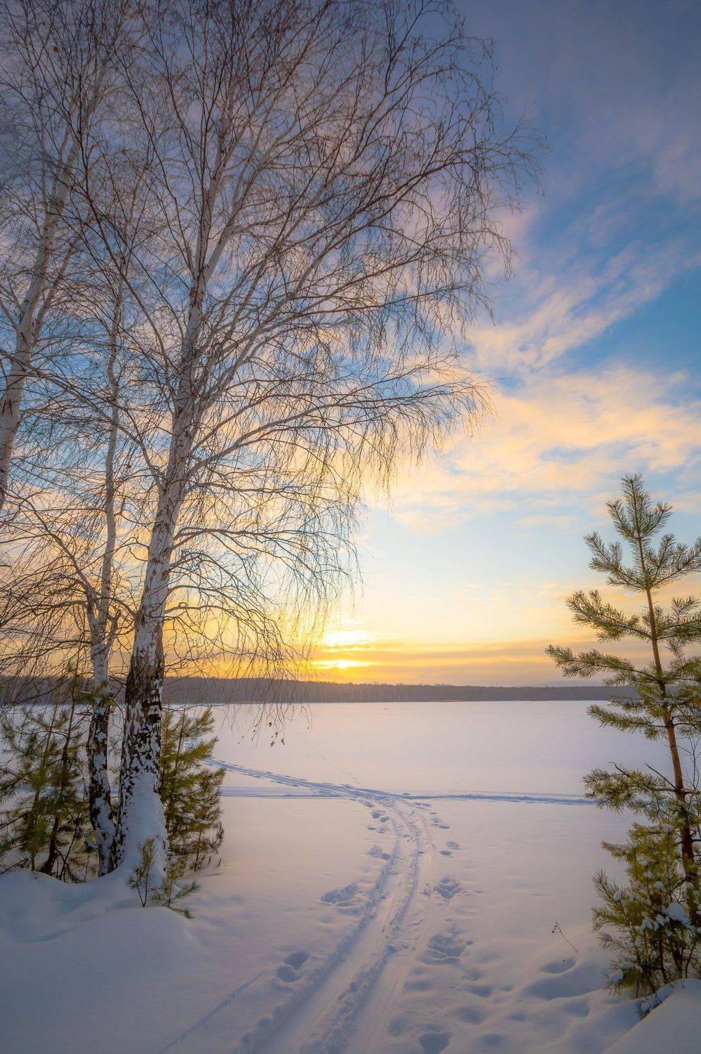 зима закат ночь снег лыжня солнце, Жданов Дмитрий