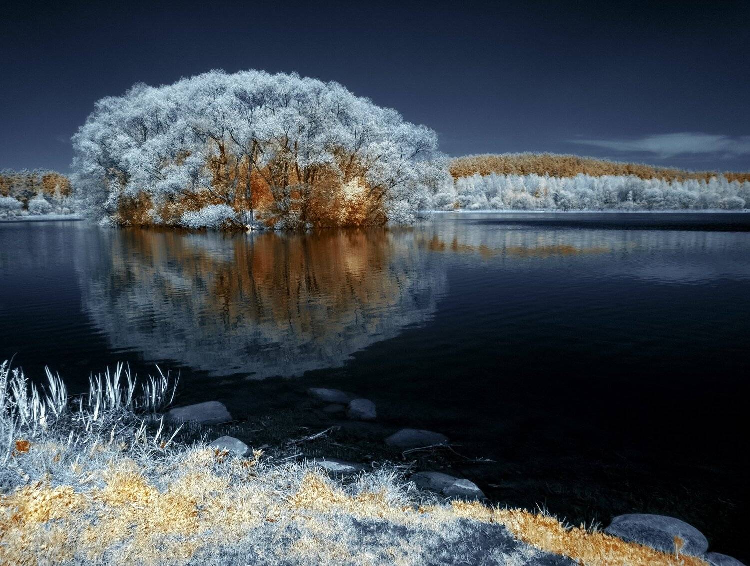 infrared,ик-фото,инфракрасное фото, инфракрасная фотография, пейзаж, весна, Sixten ( Сергей )