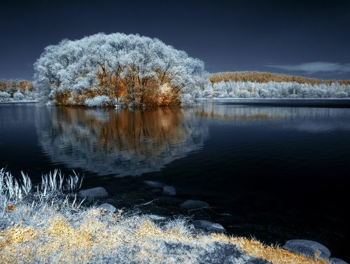 Созерцание весенних отражений.