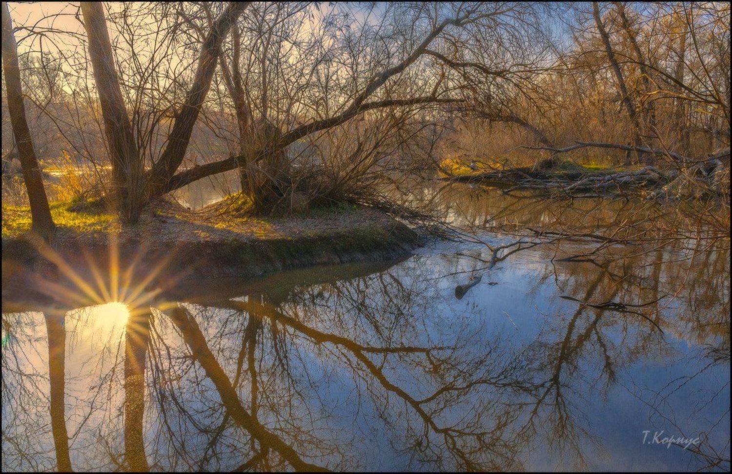 весна,затока,отражение,контражур, Татьяна Корнус