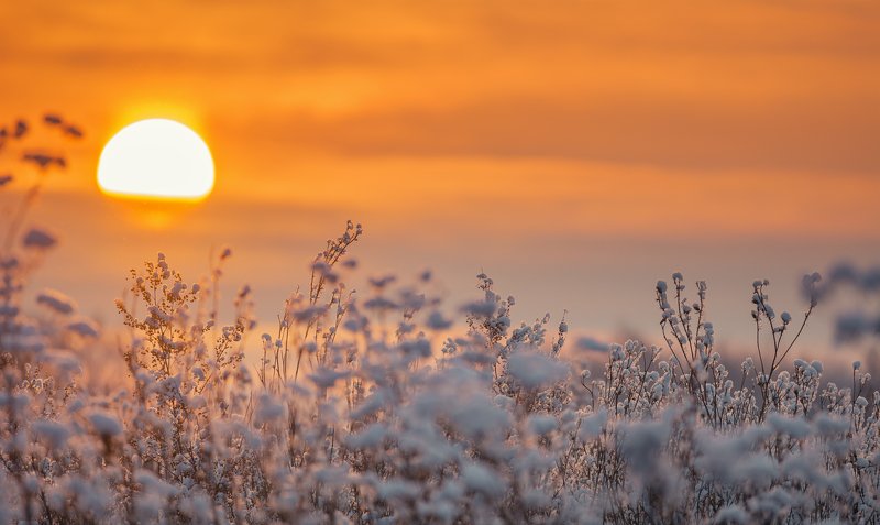 зима, снег, закат, солнце, солнце падает за горизонт.. фото превью