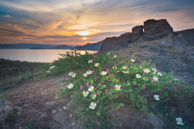 крым Крым 2020 фото превью