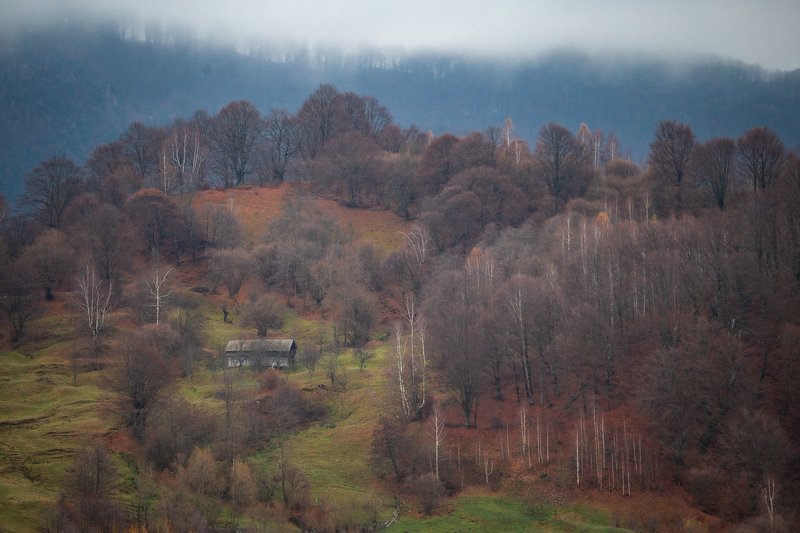 ... фото превью