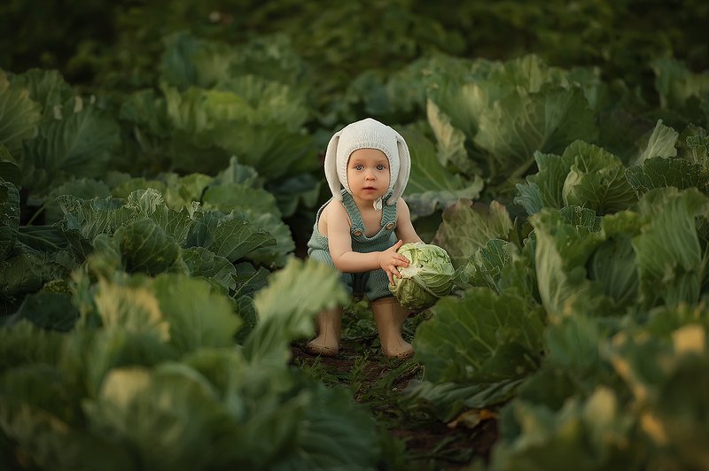 фото превью