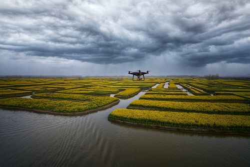 Landscapes