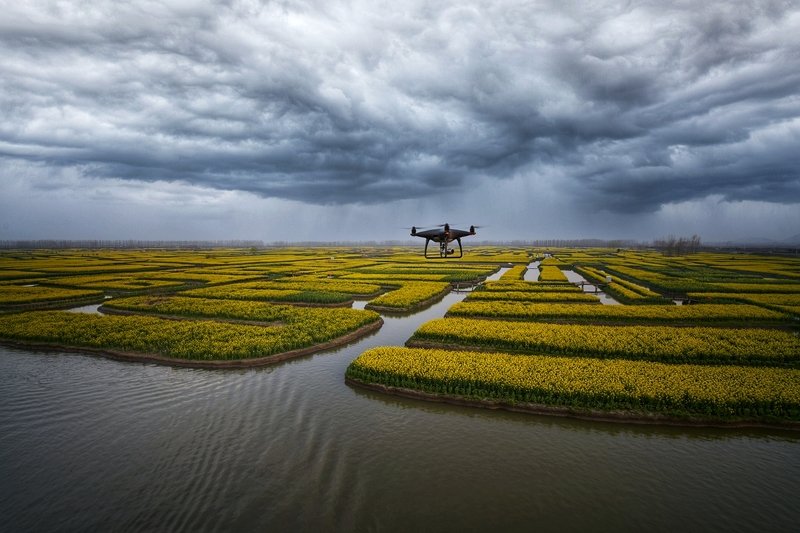 landscapes Landscapes фото превью