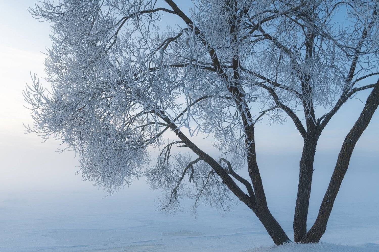 #зима #winter, Дмитрий Рябцев